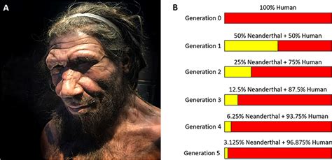 are we similar to neanderthal man